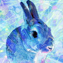 rabbit_u-san_in_02