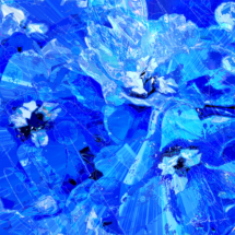 デルフィニウム 青い花