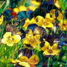 viola ビオラ 黄色い花